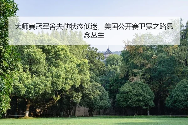 da-shi-sai-guan-jun-she-fu-lei-zhuang-tai-di-mi-mei-guo-gong-kai-sai-wei-mian-zhi-lu-xuan-nian-cong-sheng-2-125.jpg