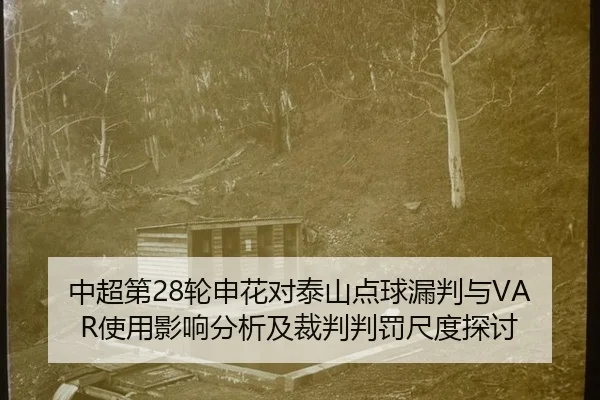 zhong-chao-di-lun-shen-hua-dui-tai-shan-dian-qiu-lou-pan-yu-shi-yong-ying-xiang-fen-xi-ji-cai-pan-pan-fa-chi-du-tan-tao-3-197.jpg