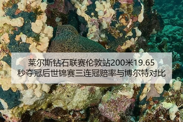 莱尔斯钻石联赛伦敦站200米19.65秒夺冠后世锦赛三连冠赔率与博尔特对比